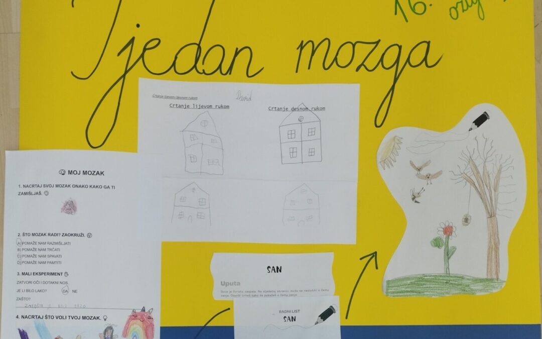 TJEDAN MOZGA U PODRUČNOJ ŠKOLI BRODSKI VAROŠ