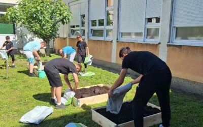 ŠKOLSKO DVORIŠTE PUNO BOJA, MIRISA I ŽIVOTA